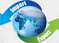Импорт & Экспорт – All In One Seo Pack